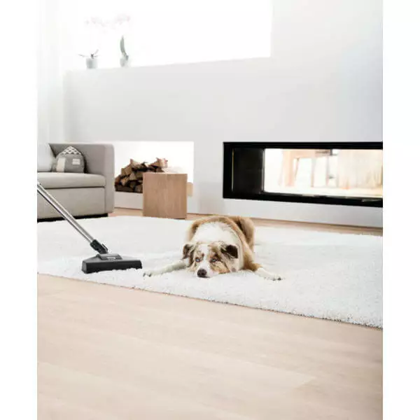 MIELE Complete C3 Big CatDog - Aspirateur Avec Sac 4 MIELE Complete C3 Big CatDog - Aspirateur Avec Sac – Image 2